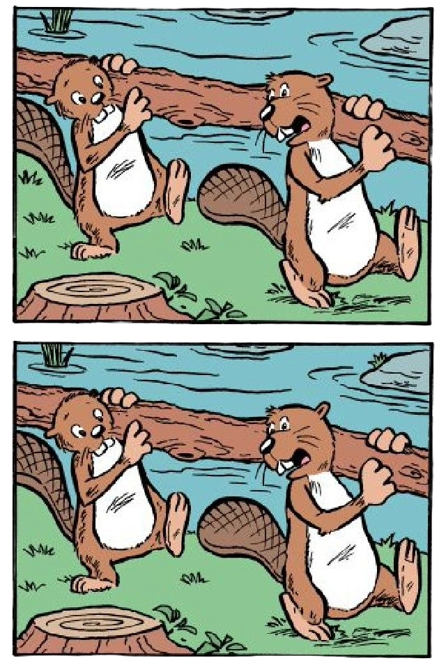 "Spot 5 Differences in 30 Seconds: Busy Beavers Edition!"