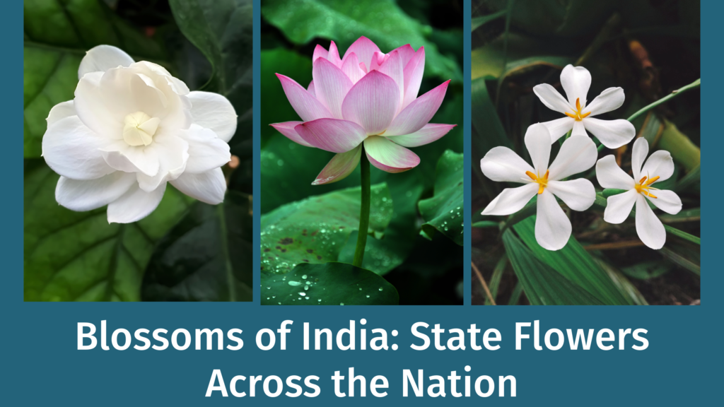 flower Blossoms of India: All State Flowers Across the india